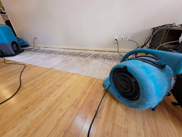 Professional Sewage Cleanup technician working in Jeromesville, OH